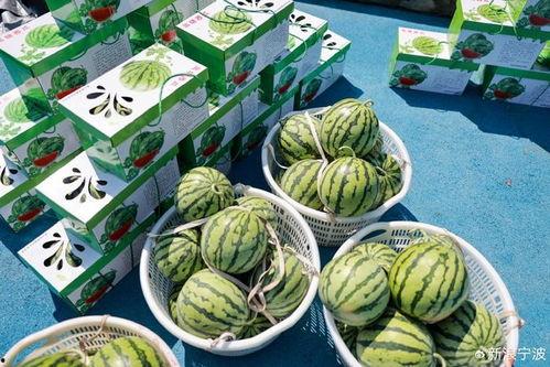 甜的娱乐吃瓜,揭秘娱乐圈甜蜜瓜皮背后的故事  第3张